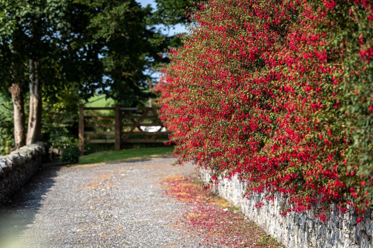 Bed and Breakfast Craigmount Wigtown Zewnętrze zdjęcie
